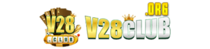 v28club.org